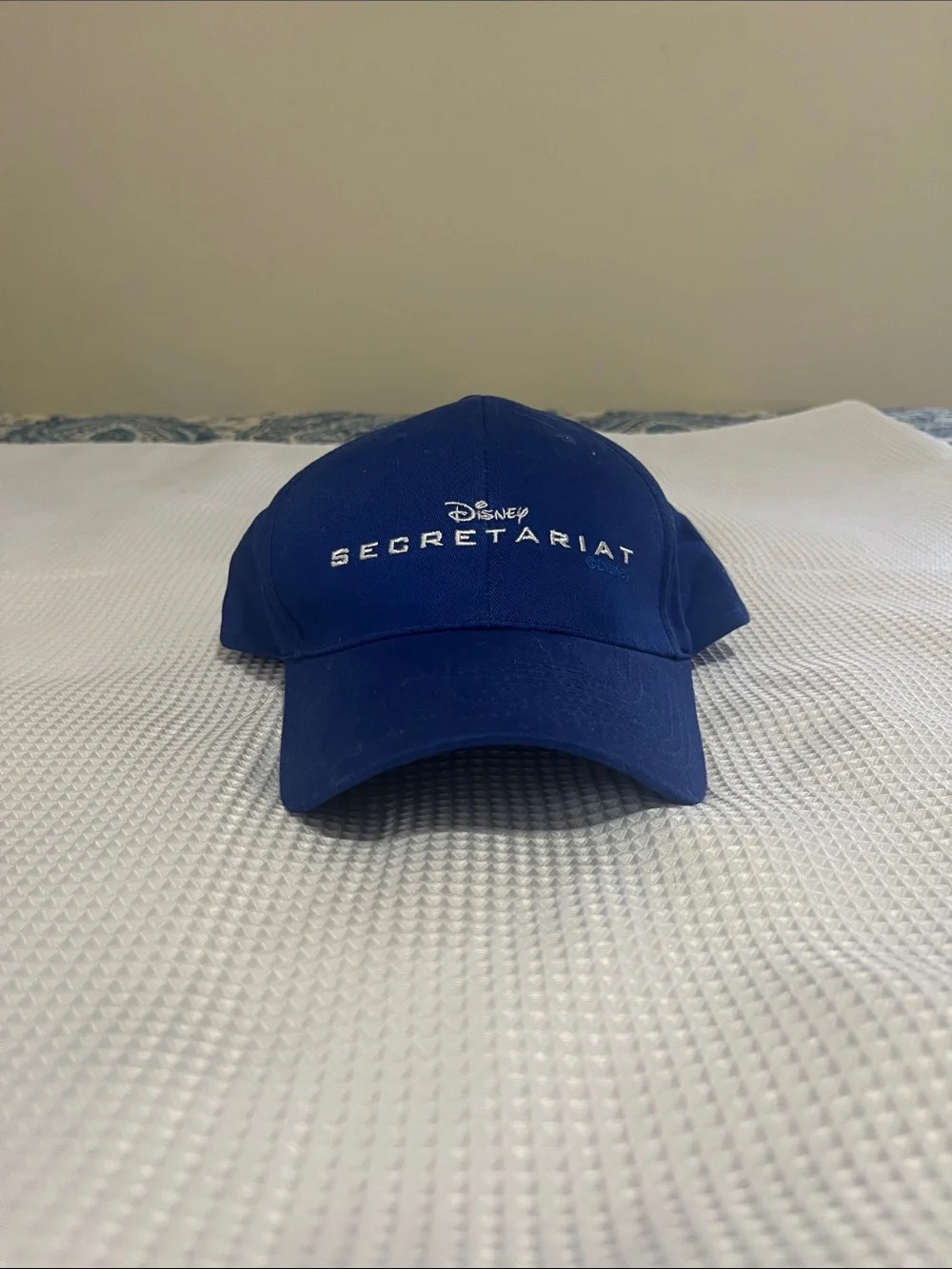 Disney Blue SECRETARIAT Embroidered Baseball Hat